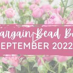 Bargain Bead Box | September 2022 | Monthly Subscription Unboxing