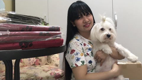 Vlogs #22 - Unboxing Amazon Dogs Products | Katie’s pregnancy updates | Glizcel Cabael 💜