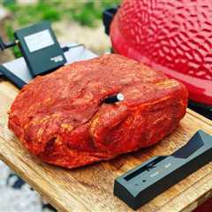 MeatStick 4X – Next-Generation Smart True Wireless Meat Thermometer